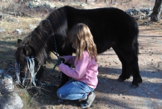  Niños y compañía en pony 